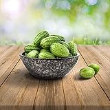 mexikanische Minigurke/Snackgurke/ 25 x Samen, 100% Naturalseeds, ideal für Terrasse, Fensterbank, Containerkultur