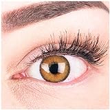 Glamlens Farbige Braune Kontaktlinsen Mirel Brown Stark Deckende Natürliche Silikon Comfort Linsen - 1 Paar (2 Stück) Ohne Stärke 0.00 Dioptrien