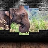 5 teilige leinwandbilder Asiatischer Elefant wilde Tiere Natur Kunstdrucke 5 Teilig Vlies Leinwandbild,Wandkunst 5 stück Leinwand Bilder,Wohnzimmer Schlafzimmer Wand Dekoration,mit rahmen xxl bilder