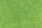 AQUA DENVER Wasserdichter Stoff Reißfest Outdoor Meterware PU-beschichtet Polyester Farbpalette (Grüner Apfel)