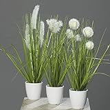 mucplants Kunstpflanze Gras im weißen Topf 3 Stück Höhe 38cm Grün/Creme Kunstgras Ziergras Tischdekoration