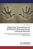 Molecular Description of Buffaloes' Defense Genes infected Mastitis: Molecular Characterization of Bovine Beta Defensin Genes in Healthy and Infected Buffaloes with Mastitis Disease