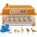Hethya Inkubator Ei Vollautomatischer Inkubatoren Brutmaschine Hühnereier Automatischer Hühnerbrutkasten Heimbrutkasten Huhn 36 Eier Inkubatoren