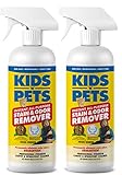 Kids 'n' Pets Marke Fleck & Geruch Entferner, zwei Pack 27 Flüssigunzen (54 Unzen insgesamt)