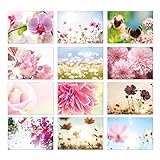 2 x 12 neutrale Blumen Postkarten I dv_314 I DIN A6 I 24er Set Grußkarten Natur-Motive Schmetterling I zum Beschreiben und Versenden