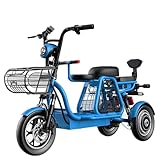 ZYW Roller Elektror Roller DREI Räder Erwachsene Elektrische Fahrrad 30 Ah Premium Bike 500 W 12 cm Dreirad Mit Elektrischen Schloss Kindersitz Dreirad Elektrische Fahrrad,Blau