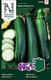 Zucchini Samen für Gemüsegarten - Nelson Garden Saatgut - Zucchini Black Forest F1 (5 Stück) (Einzelpackung)
