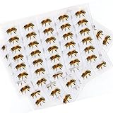 480 x Aufkleber - Biene (38 x 21 mm). Hochwertige selbstklebende Etiketten mit Tiermotiv von Zooify.
