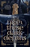From These Dark Depths: A Slow Burn Romantic Fantasy (Aisling Sea Book 2) (English Edition)