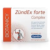 BOTANICY Zündex Forte Complex - Unterstützt bei Entzündungen & Gelenkbeschwerden - OptiMSM Hochdosiert, Weihrauch, Curcuma & Ingwer - 60 Kapseln