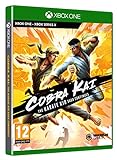 Cobra Kai: Das Karate-Kind setzt das Xbox One-Spiel fort