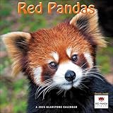 Red Pandas Wandkalender 2025