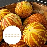 Oce180anYLVUK Tigger Melon Seeds,10 Stück/Beutel Tigger Melonensamen Geschmackvolle, nahrhafte, jährliche Cucurbita-Gemüsesamen für die Landwirtschaft Pumpkin Seeds
