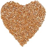 Lyra Pet® | 10 kg Wellensittichfutter | Alleinfutter für Wellensittiche | Vogelfutter für Ziervögel | Nährstoffreiches Futter für das Ganze Jahr | Energiespender für Sittiche | Artgerecht & Natü
