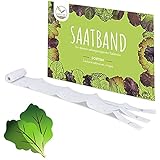 5m Saatband Salat Mix Samen (Lactuca sativa var. crispa) - Knackig, frischer Pflücksalat ideal für die Anzucht im Garten, Balkonkasten & Gemüsebeet