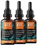 Vitamin B12 Tropfen - 3x1100 Tropfen (3x30ml) - bioaktives Methylcobalamin B12 - optimal hochdosiert mit 500mcg B12 - ohne Konservierungsstoffe oder Alkohol - 100% vegan - laborgeprüft mit Zertifikat