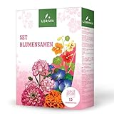 LERAVA® Blumensamen – blumensamen mehrjährig winterhart - saatgut für Garten und Balkon – samen für schnelle Keimung - einfache Bepflanzung und Aussaat - blumensamen geschenk – seed -made in Italy