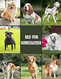 Bild von Hunderassen: Fotografie von 100 Hunderassen für Kinder, Hundeliebhaber, Demenz, Senioren und Alzheimer.