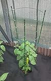 maxpack® Rankhilfe Gartenpflanze Gurkenturm Stützringe für Topfpflanzen Kletterpflanze Tomaten Gurke Pflanze Käfig Spalier robust (H: 60 cm)