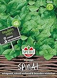 83188 Sperli Premium Spinat Samen Monnopa | Spinat Saatgut | Ertragreich und Schnellwüchsig | Saatgut Spinat | Spinatsamen | Für ca. 1500 Pflanzen
