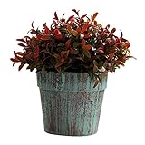 REN0124shuang künstliche Pflanzen Kunstpflanzen Mini Topf Gras for Indoor Home Party Dekoration Kunstpflanze (Color : Red)