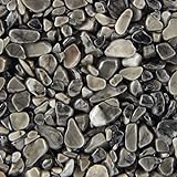 Terralith Steinteppich Marmor Komplett-Set für 1qm - Körnung: mittel - 4-6mm mit Polyurethan Bindemittel - für Außen in grau (grigio due)