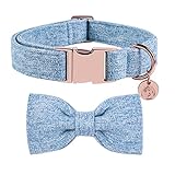 DOGWONG Hundehalsband mit Abnehmbarer Fliege, Blau Haustierhalsband Hundefliege Geschenk für Mädchen oder Jungen Hunde, Bequeme verstellbares Hundehalsband für kleine mittelgroße Hunde