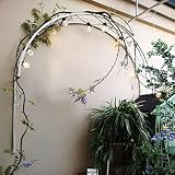 Metall Gartenlaube Rankhilfe Pflanzenstütze für Efeu Rosen Reben Wandmontage Gartenbogen Dekoration für Tür Fenster oder Wand Weiß