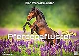 Pferdegeflüster - Der Pferdekalender - 2024 - Kalender DIN A2
