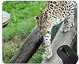 Yanteng Gaming Mouse Pad Benutzerdefinierte, Leopard Wild Leopard rutschfeste Gummibasis Mousepad