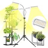 Shotory Pflanzenlampe LED 150W Pflanzenlicht Vollspektrum mit Einstellbar Ständer, Grow Light für Zimmerpflanzen, mit Zeitschaltuhr, 3 Arten von Modus, 6 Arten von Helligkeit