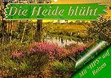 Die Heide blüht (Premium, hochwertiger DIN A2 Wandkalender 2022, Kunstdruck in Hochglanz)