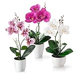 PASCH® Kunstblumen im Topf (36cm) - 3er Set Orchideen künstlich abgestimmtes Arrangement in Hochglanz-Keramiktöpfen, Deko Blumen künstlich, künstliche Orchideen (Weiß-Rosé)