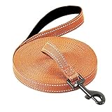 Demigreat Schleppleine für Hunde, 1.5m / 3m / 5m Robuste Lange Hundeleine Reflektierend Trainingsleine mit Gepolsterter Griff und handschlaufe, Ausbildungsleine für Kleine bis Große Hunde