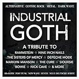 Industrial Goth : Alternative, Gothic Rock, Metal, Dark Wave, 80s Goth, Post Punk, New Wave, Synth, Neue Deutsche Harte