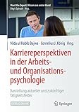 Karriereperspektiven in der Arbeits- und Organisationspsychologie: Darstellung aktueller und zukünftiger Tätigkeitsfelder (Meet the Expert: Wissen aus erster Hand)