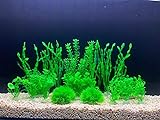 Aquarium-Dekoration, 18 Stück künstliche grüne Wasserpflanzen Seetang aus Kunststoff, für alle Fische und Haustiere…