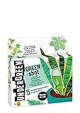 Undergreen by Compo Green Shot, Kur für Grünpflanzen und Palmen, Aufbaukur, 5 Ampullen je 30 ml, Transparent