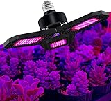 HTDHS LED-Pflanzenlampe Volles Spektrum E27, Sonnenlichtlampe, Wachsen-Lampe, Pflanzenlicht-Pflanzenlampe LED wasserdichte Wärmeableitung, für Innenpflanzen Gartenbonsai, Rotblau, 144 LEDs