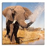 Pixxprint Glasbild, Wandbild auf Echtglas, schöner Elefant spritzt mit Wasser, 50x50 cm, inkl. Aufhängung und Ab
