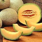 50 stücke Cantaloupe Samen DIY Garten Kit Köstliche Früchte Melone für Gartenfarm Saat 1 Größe