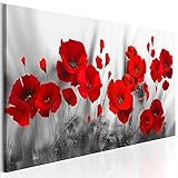 decomonkey Bilder Blumen Mohnblumen rot 120x40 cm 1 Teilig Leinwandbilder Bild auf Leinwand Vlies Wandbild Kunstdruck Wanddeko Wand Wohnzimmer Wanddekoration Deko Natur Weiß