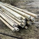 25 Bambusstäbe - Bambusstangen ca. 182 cm lang/ 12-14 mm dick