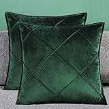 Matty-LZ Samt Einfach Weicher Kissenbezug Hochwertige Qualität Set, Dekorativ Sofa Kissen Kissenhülle (18x18 Zoll / 45x45 cm, Grün (2er Set))