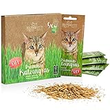 PRETTY KITTY Premium Katzengras Saatmischung: 5 Beutel je 25g Katzengras Samen für 50 Töpfe fertiges Katzengras – Eine grüne Katzen Wiese – Natürliche Katzen Leckerlies – Pflanzen Samen - Grassamen
