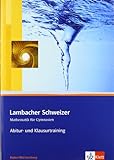 Lambacher Schweizer Mathematik Abitur- und Klausurtraining. Ausgabe Baden-Württemberg: Arbeitsheft plus Lösungen Klassen 11/12 (Lambacher Schweizer Abitur- und Klausurtraining)
