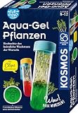 KOSMOS 658168 Fun Science Aqua-Gel Pflanzen, beobachte das Wachstum der Wurzlen, Kresse und Mungobohnen im Glas anziehen, Experimentierkasten für Kinder ab 8 Jahre, Pflanzset fü
