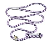 Cesar Millan Leine - Trainingsleine für Hunde - 2in1 Halsband Hund und Leine - Slip Lead - Retrieverleine mit integrierter Halsung (Small/Medium - Farbe: Aqua/Lila) - Länge 120 cm, Durchmesser 1