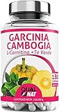Garcinia Cambogia + L-Carnitin + Grüner Tee | Leistungsstarker Fatburner | Appetitreduzierer | Ihr natürliches Gewichtsverlust-Supplement | 180 Kapseln - Qualnat