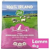Irish Pure Adult Weidelamm & Freiland-Huhn mit Kelp-Alge - Premium Trockenfutter für Hunde, Hoher Fleischanteil, Getreidefrei, Sensitiv, Hundetrockenfutter, Hundefutter für alle Rassen (4kg)